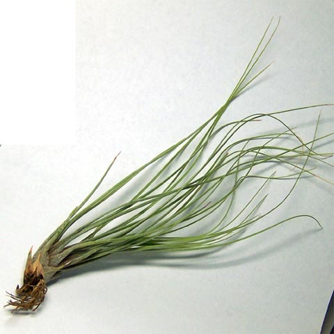 �ҵķ���֮�ҺͿ�������