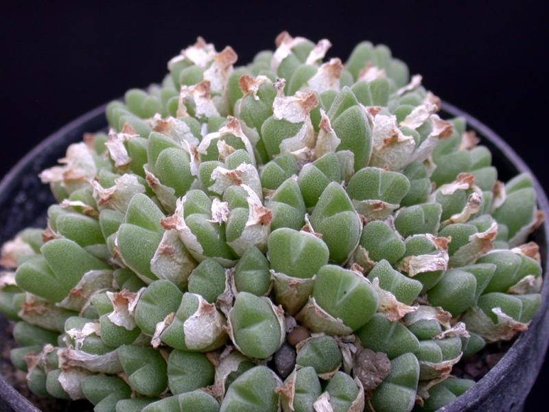 [����]��׶����---������ͨ�Ŀ�ʼ---