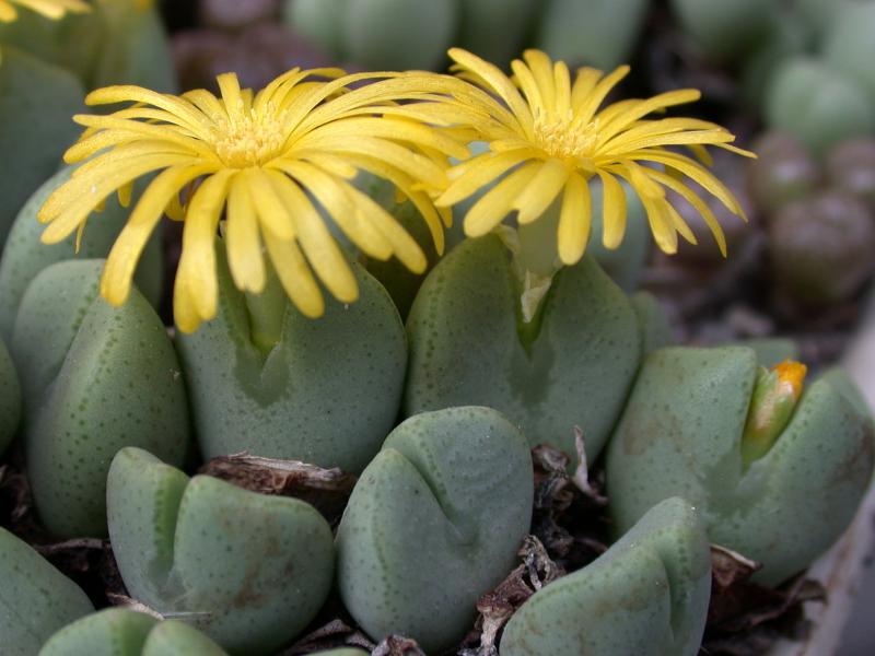 [����]��׶����---������ͨ�Ŀ�ʼ---