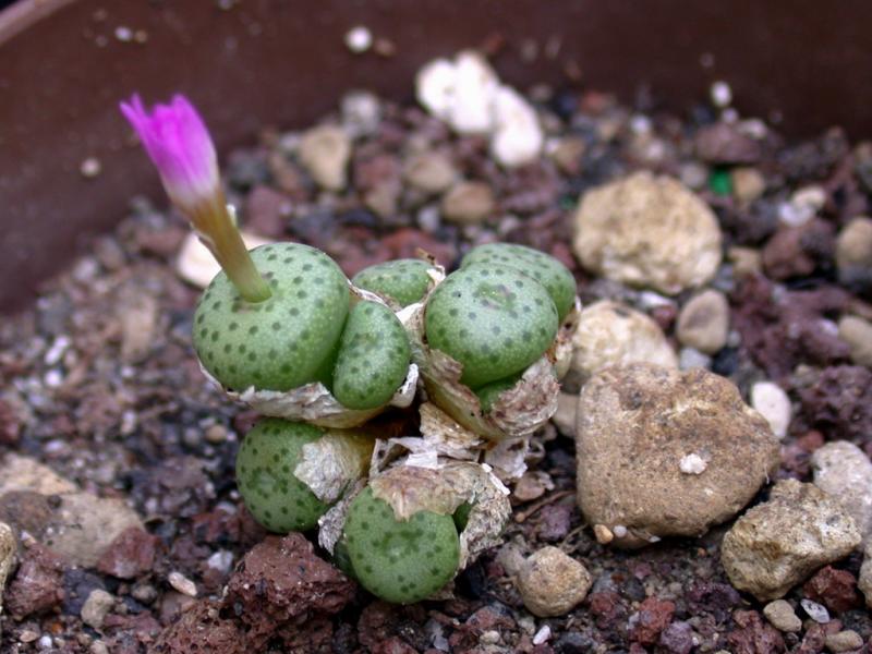 [����]��׶����---������ͨ�Ŀ�ʼ---