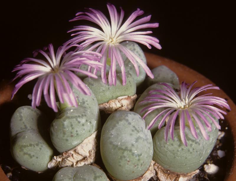 [����]��׶����---������ͨ�Ŀ�ʼ---