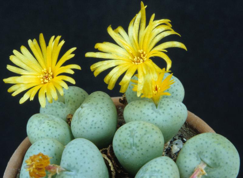 [����]��׶����---������ͨ�Ŀ�ʼ---