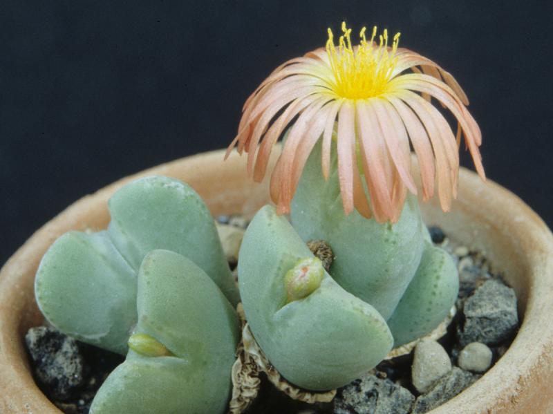 [����]��׶����---������ͨ�Ŀ�ʼ---