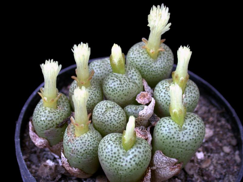 [����]��׶����---������ͨ�Ŀ�ʼ---