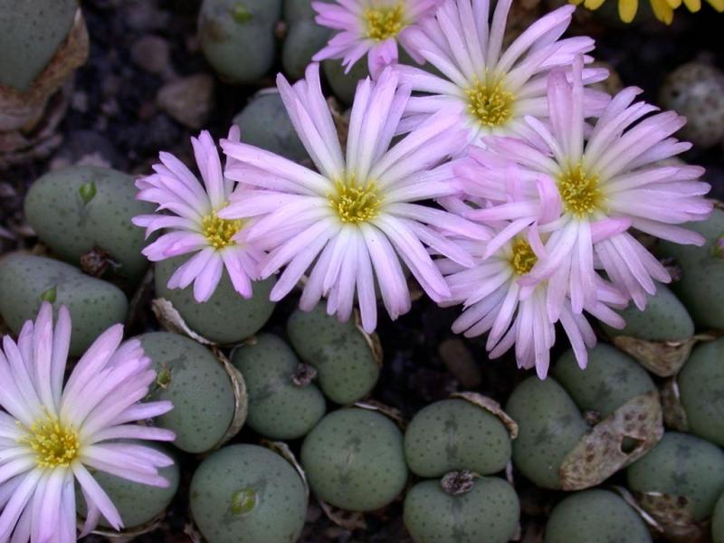 [����]��׶����---������ͨ�Ŀ�ʼ---