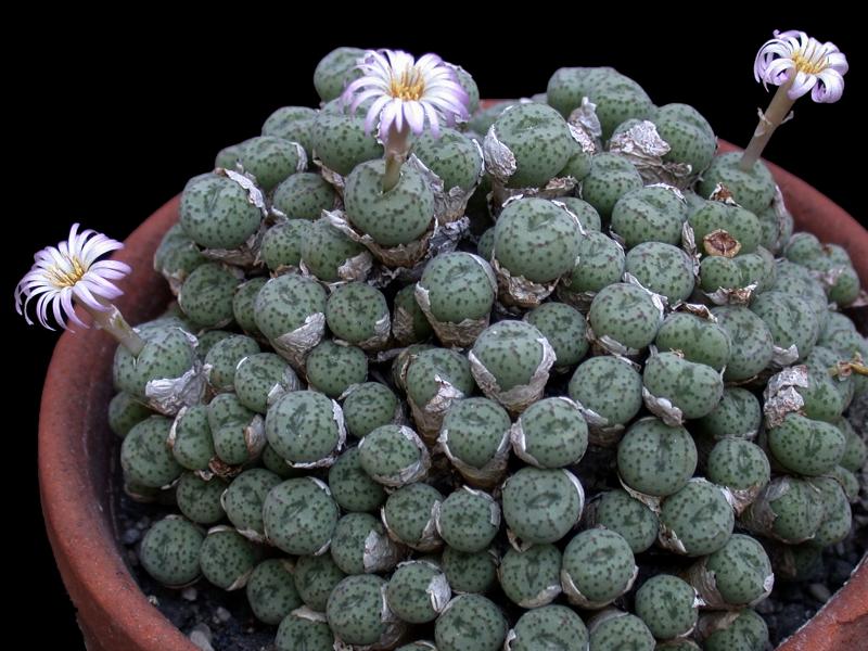 [����]��׶����---������ͨ�Ŀ�ʼ---