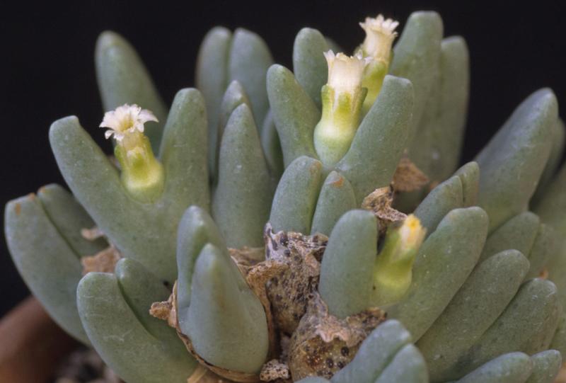 [����]��׶����---������ͨ�Ŀ�ʼ---