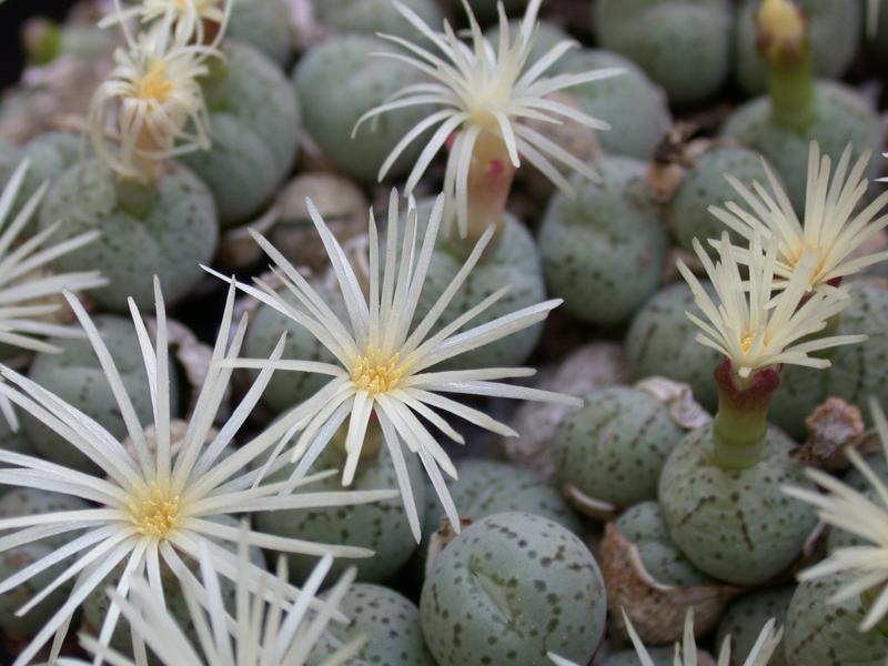 [����]��׶����---������ͨ�Ŀ�ʼ---