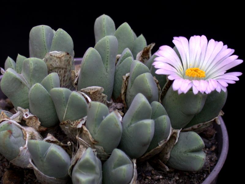 [����]��׶����---������ͨ�Ŀ�ʼ---