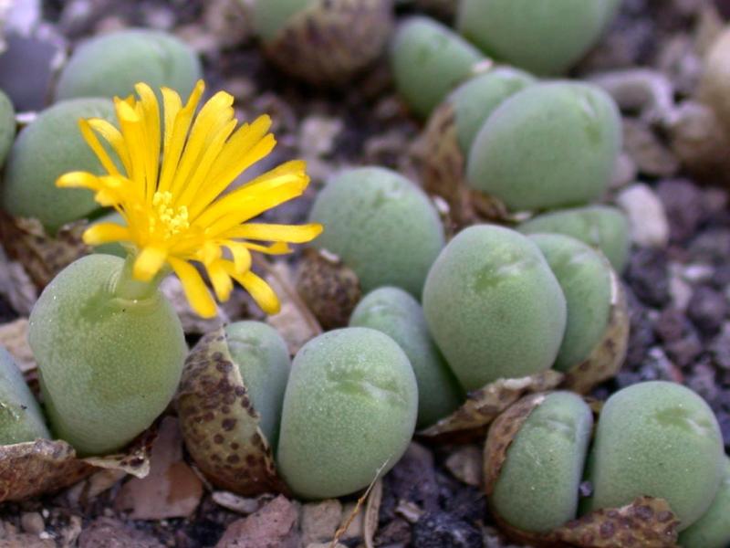 [����]��׶����---������ͨ�Ŀ�ʼ---