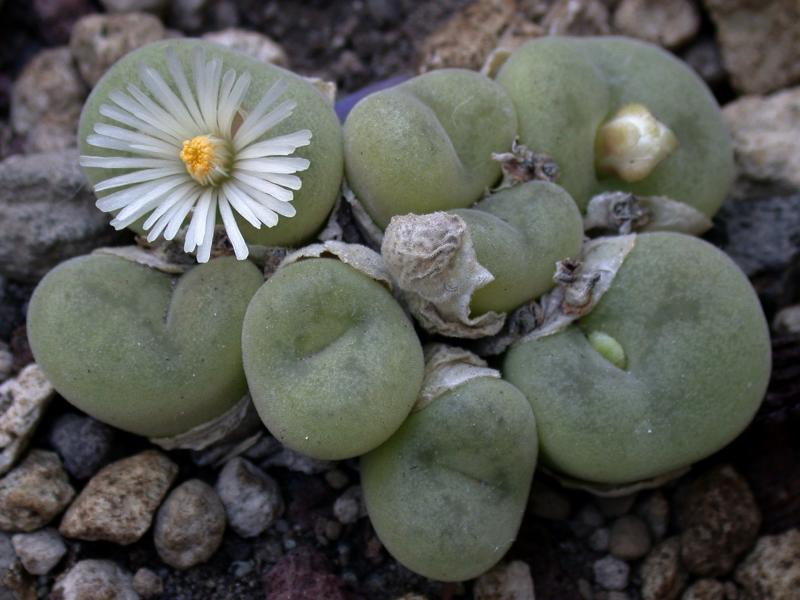 [����]��׶����---������ͨ�Ŀ�ʼ---