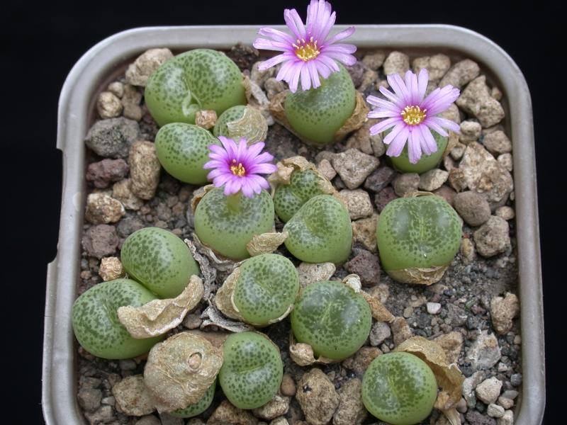 [����]��׶����---������ͨ�Ŀ�ʼ---