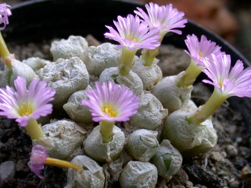 [����]��׶����---������ͨ�Ŀ�ʼ---