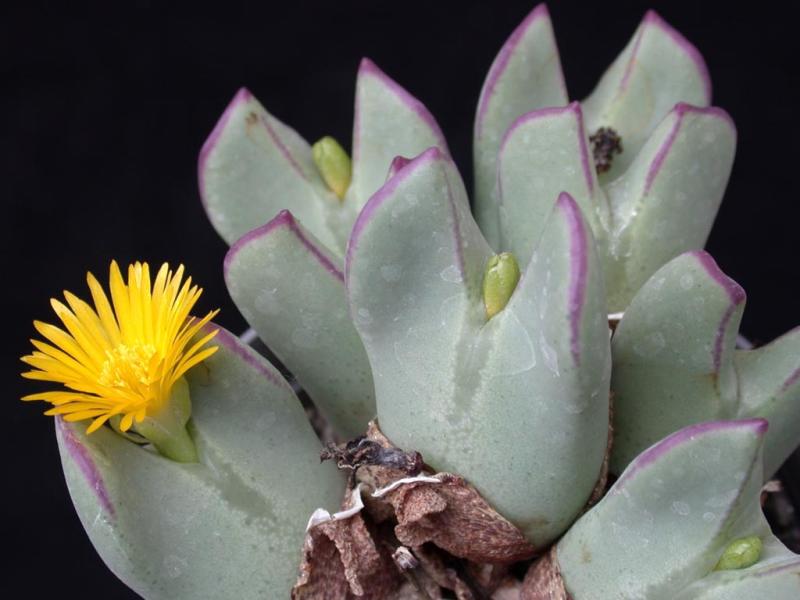 [����]��׶����---������ͨ�Ŀ�ʼ---