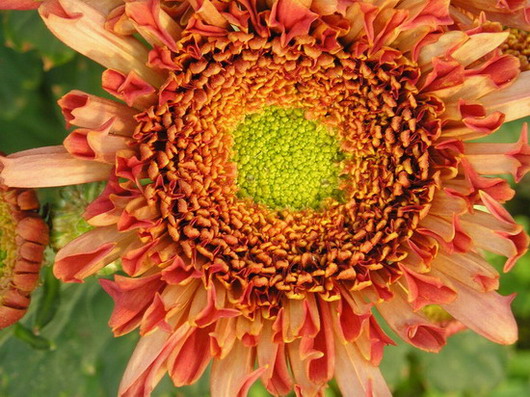 ȥ������ľջ�