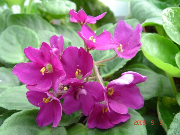 [��ˮ]��������ˮ��