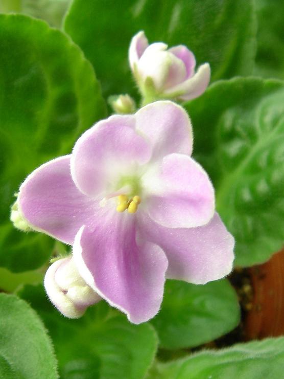 [��ˮ]��������ˮ��