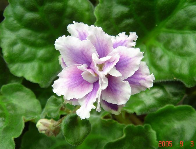 [��ˮ]��������ˮ��