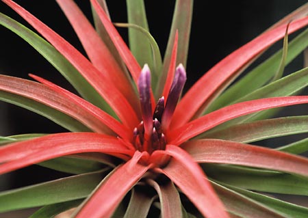 [����]��ؿ����������