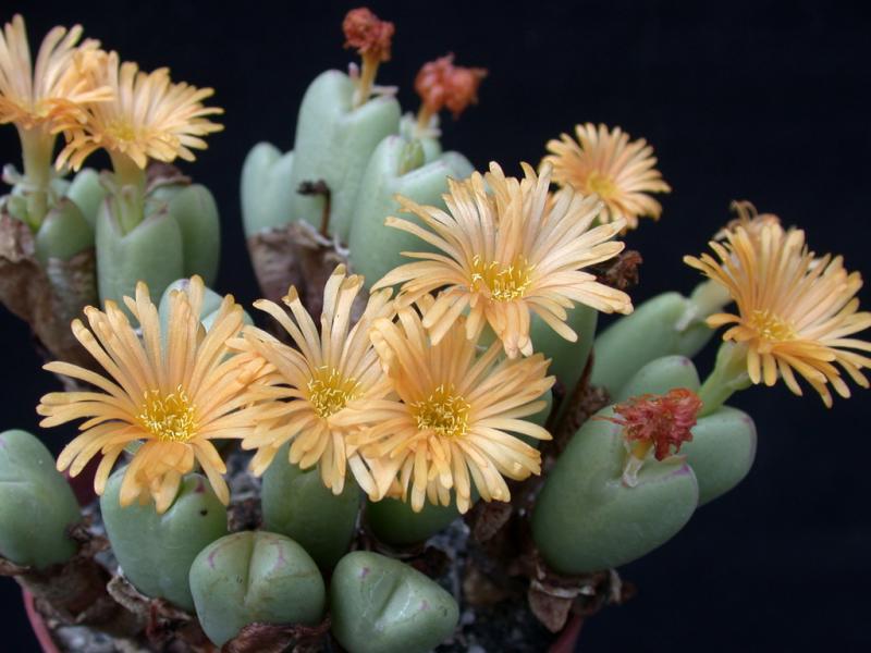 [����]��׶����---������ͨ�Ŀ�ʼ---