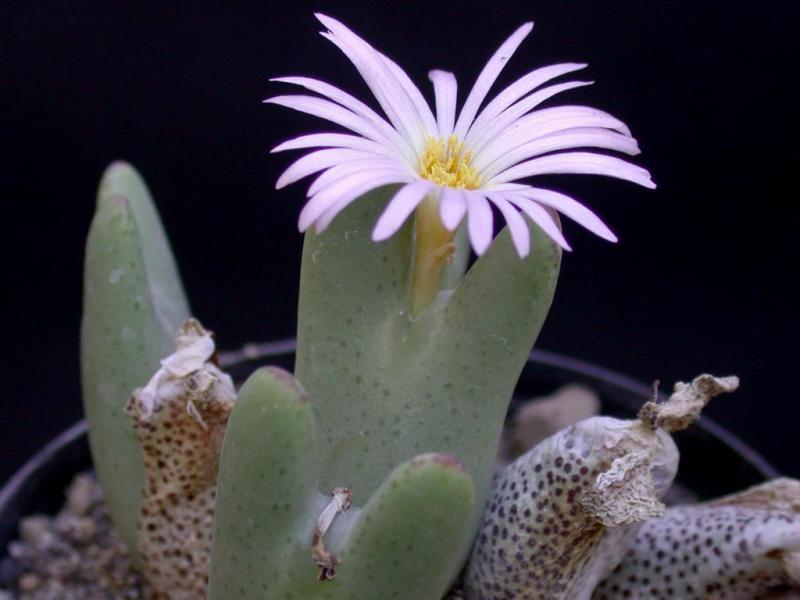 [����]��׶����---������ͨ�Ŀ�ʼ---