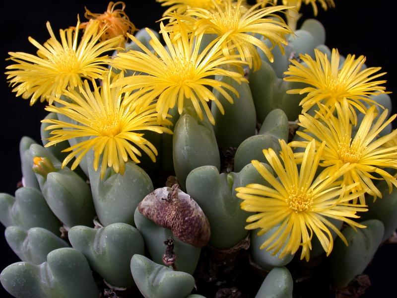 [����]��׶����---������ͨ�Ŀ�ʼ---