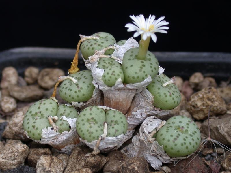 [����]��׶����---������ͨ�Ŀ�ʼ---