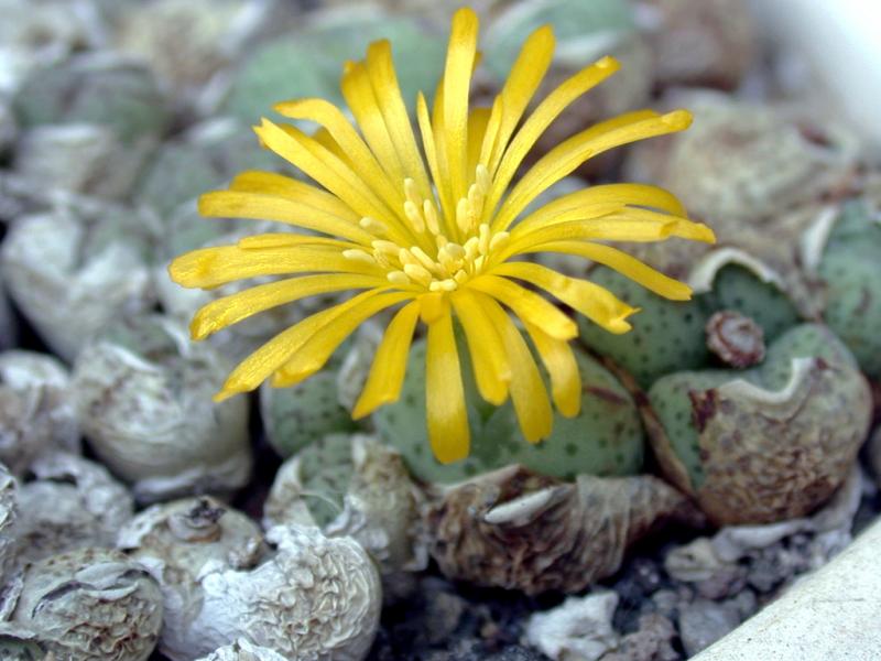 [����]��׶����---������ͨ�Ŀ�ʼ---