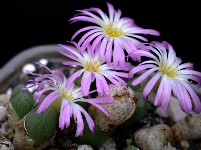 [����]��׶����---������ͨ�Ŀ�ʼ---