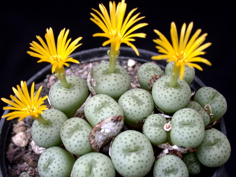 [����]��׶����---������ͨ�Ŀ�ʼ---