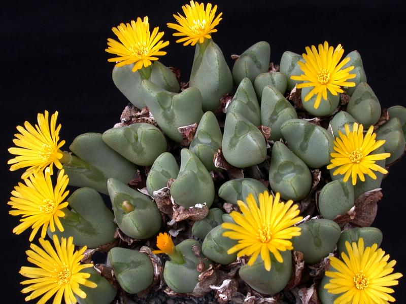 [����]��׶����---������ͨ�Ŀ�ʼ---