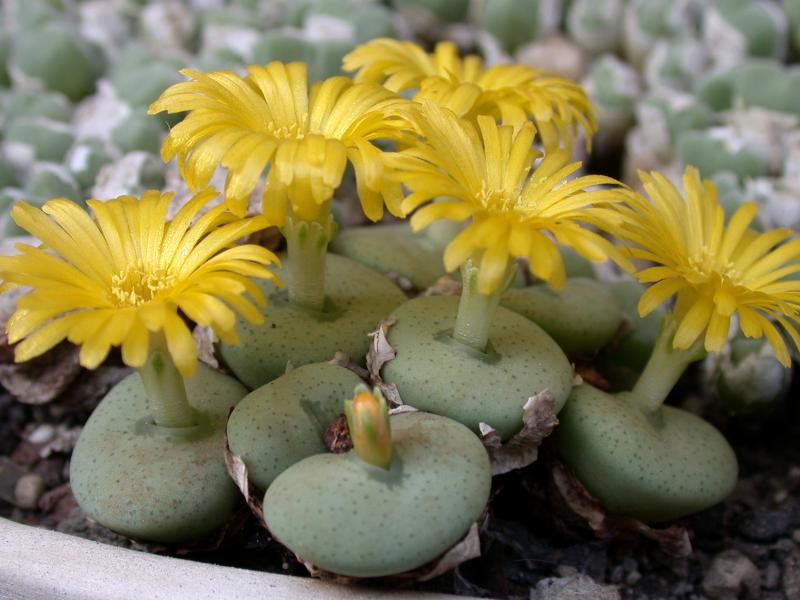 [����]��׶����---������ͨ�Ŀ�ʼ---