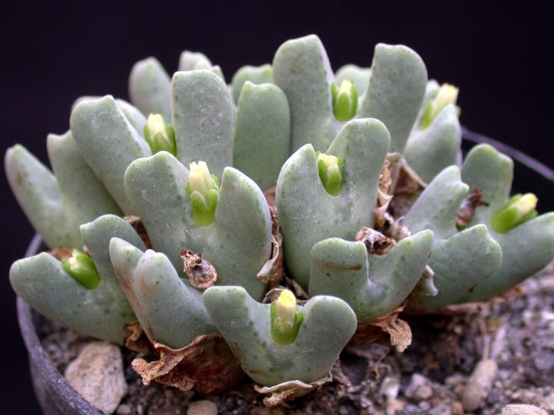 [����]��׶����---������ͨ�Ŀ�ʼ---