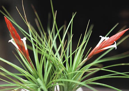 [����]��ؿ����������