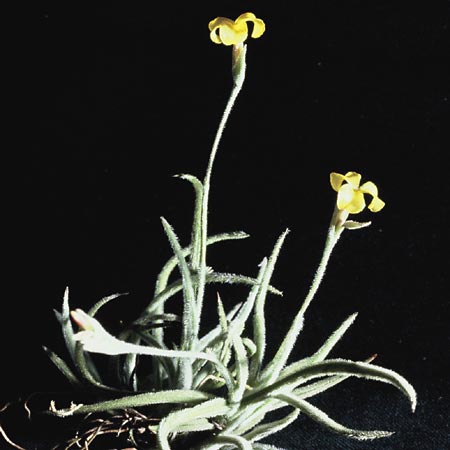 [����]��ؿ����������