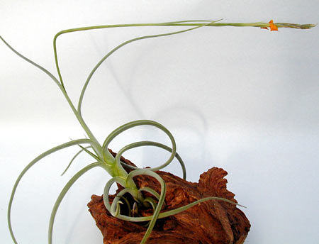 [����]��ؿ����������