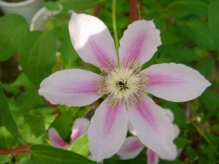 ����������