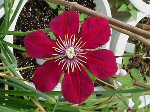 ����������