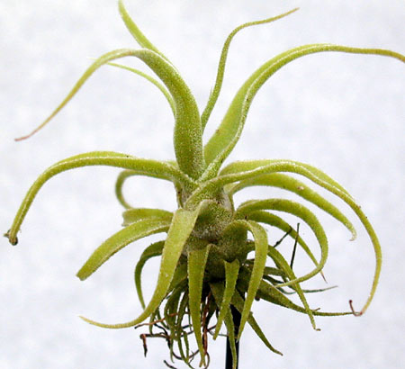 [����]��ؿ����������