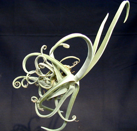 [����]��ؿ����������