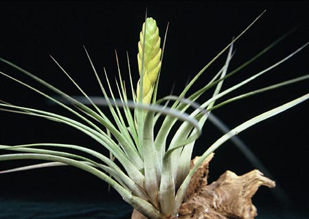 [����]��ؿ����������