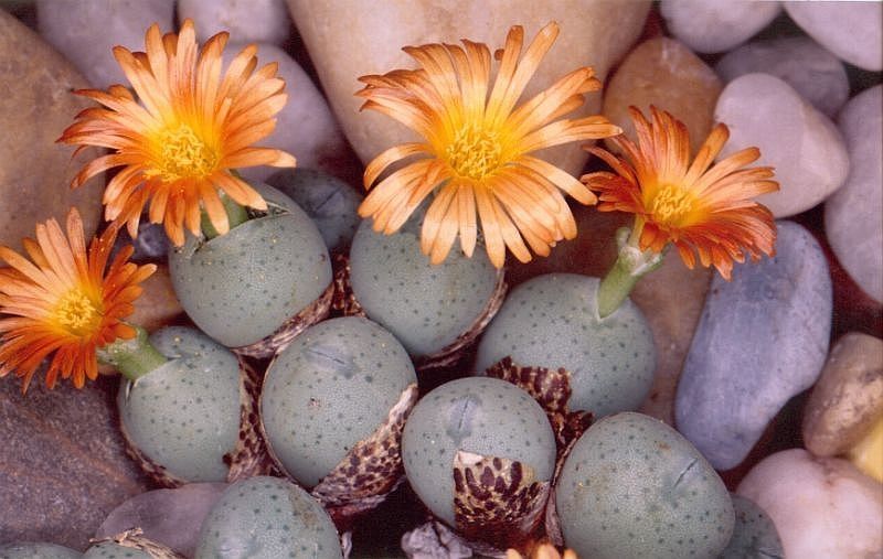 [����]��׶����---������ͨ�Ŀ�ʼ---