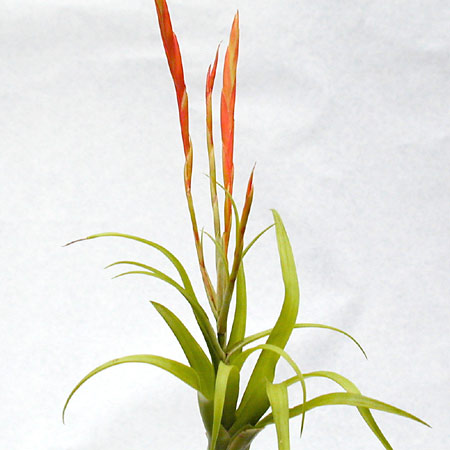 [����]��ؿ����������