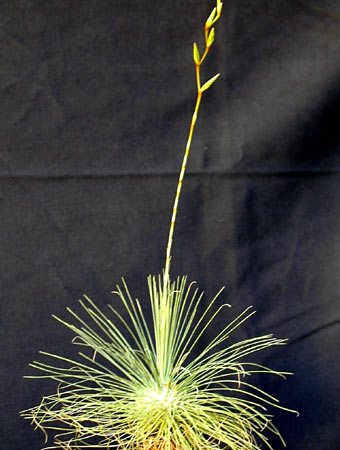 [����]��ؿ����������