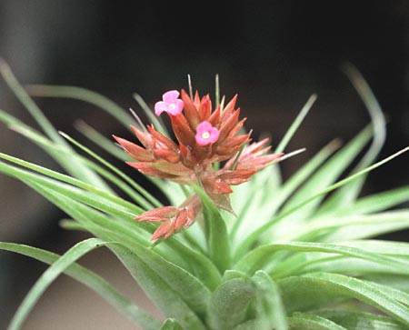 [����]��ؿ����������