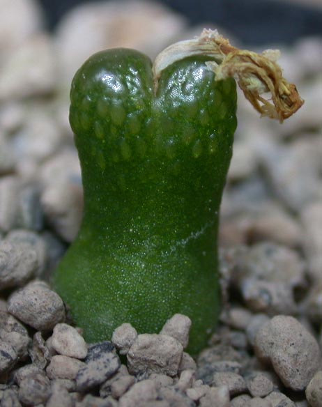 [����]��׶����---55¥��ʼ������ͨ��---