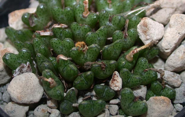 [����]��׶����---55¥��ʼ������ͨ��---