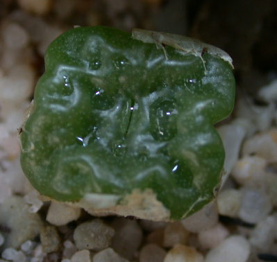 [����]��׶����---55¥��ʼ������ͨ��---