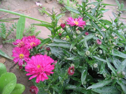 �����ຣ�Ļ����ݲ�