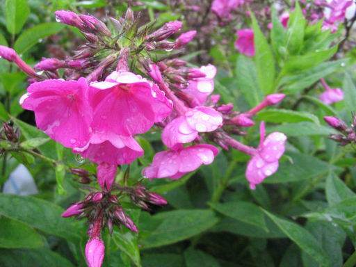 �����ຣ�Ļ����ݲ�